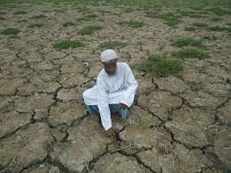 জলবায়ু পরিবর্তন রোধে সোচ্চার হতে হবে এখনই